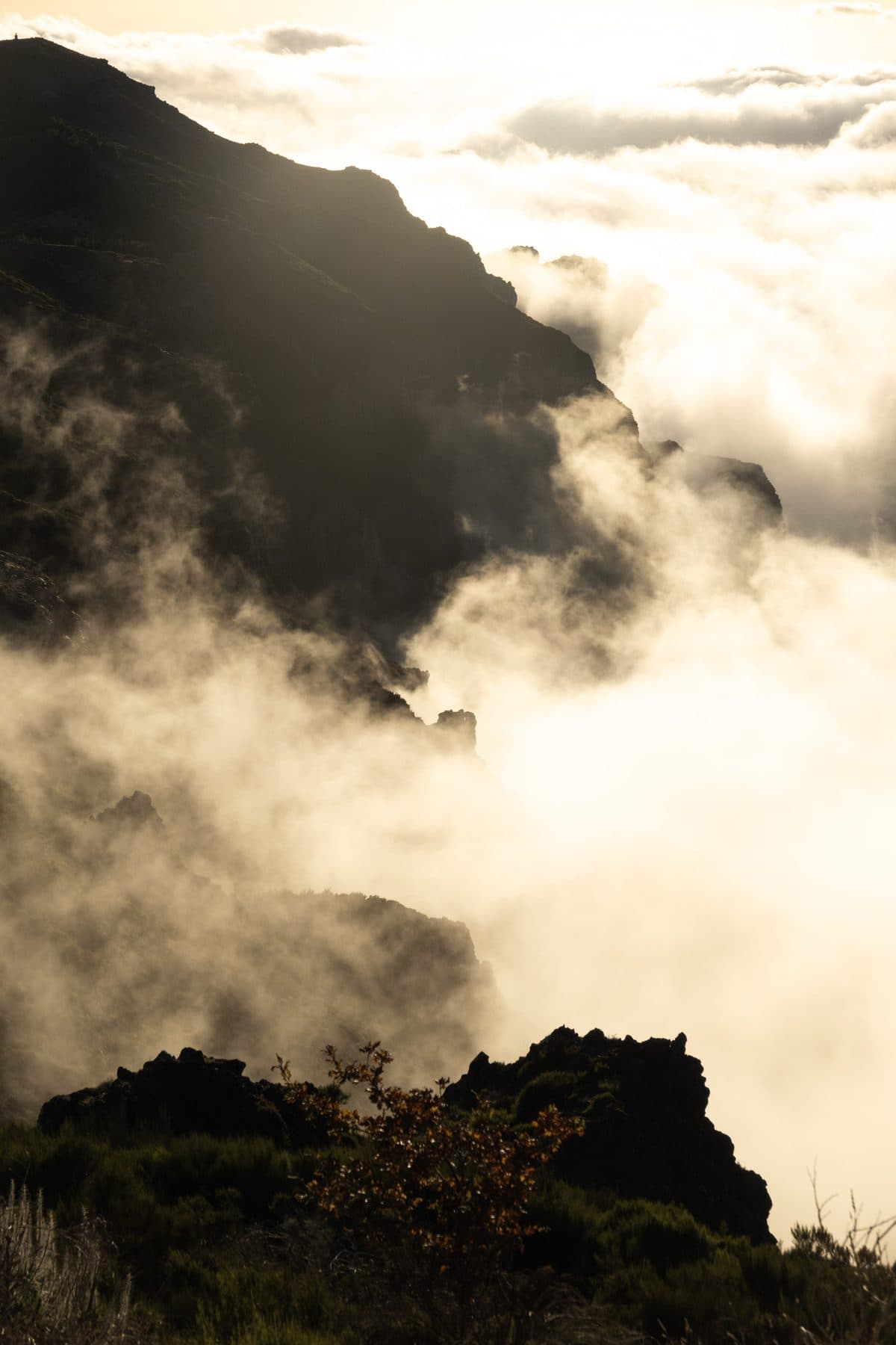 Above the Cloud Sea