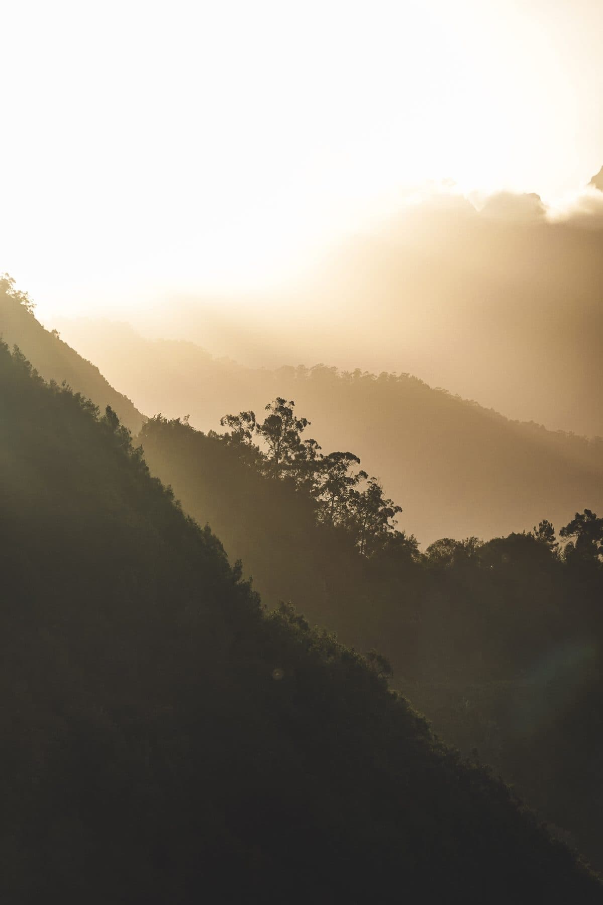 Valley to the Sea