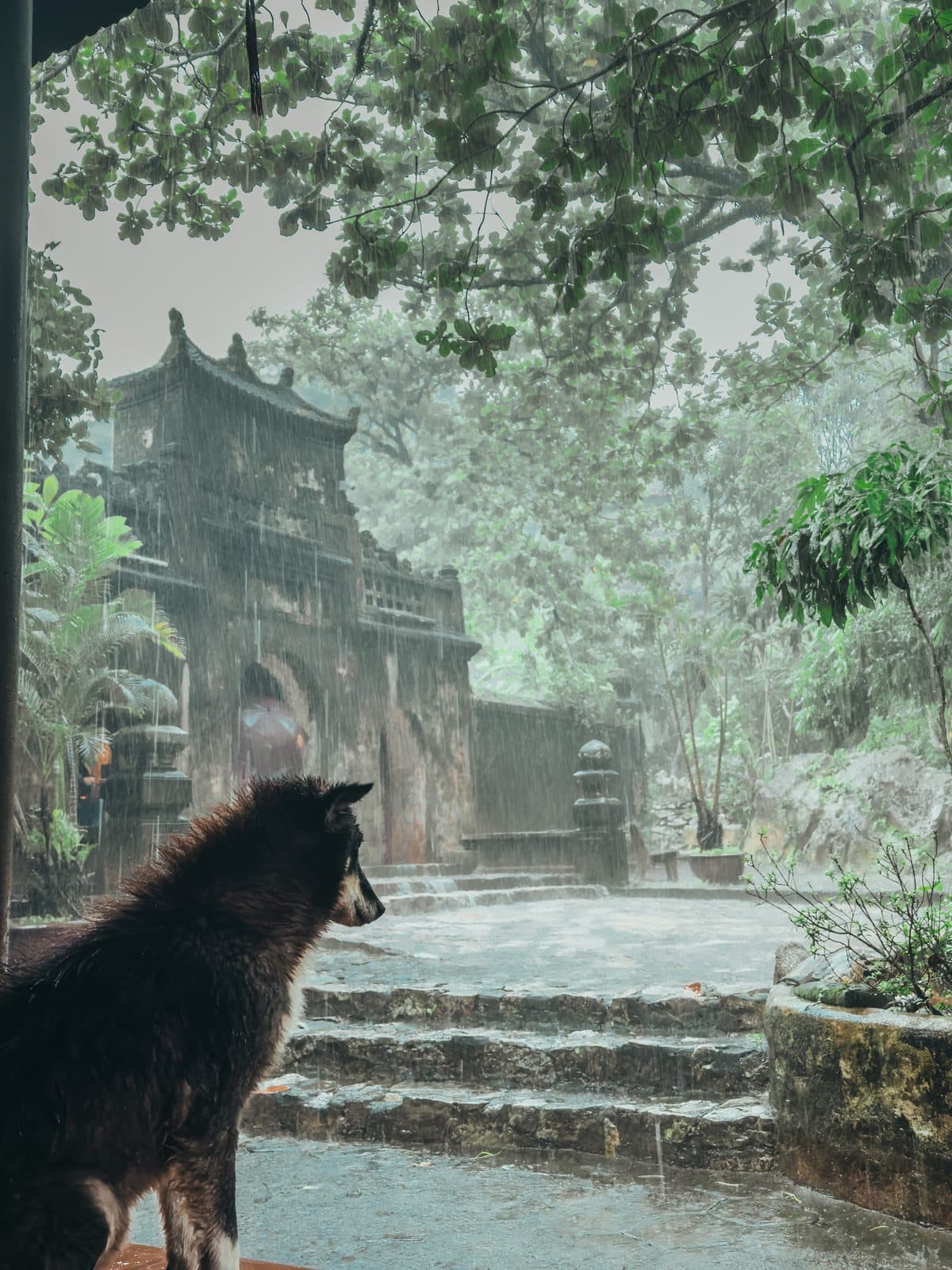 Monsoon at the Temple