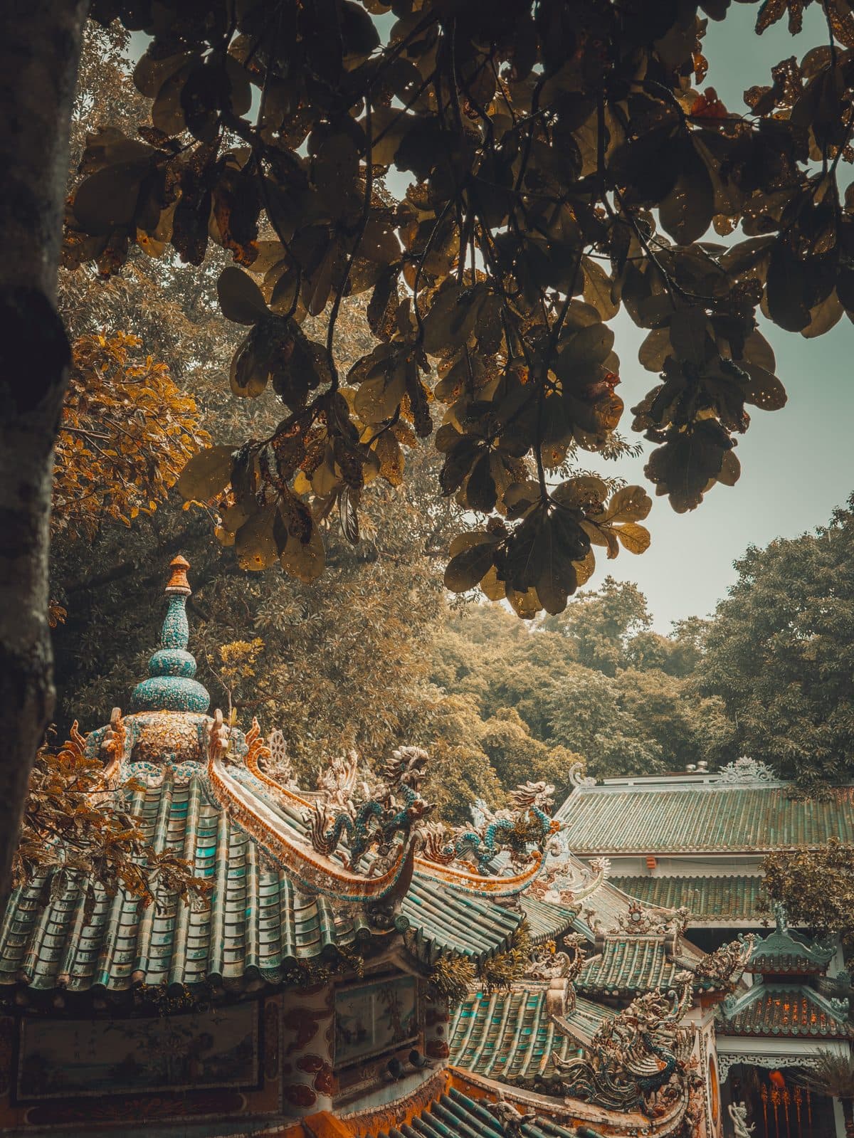 Temple Rooftops