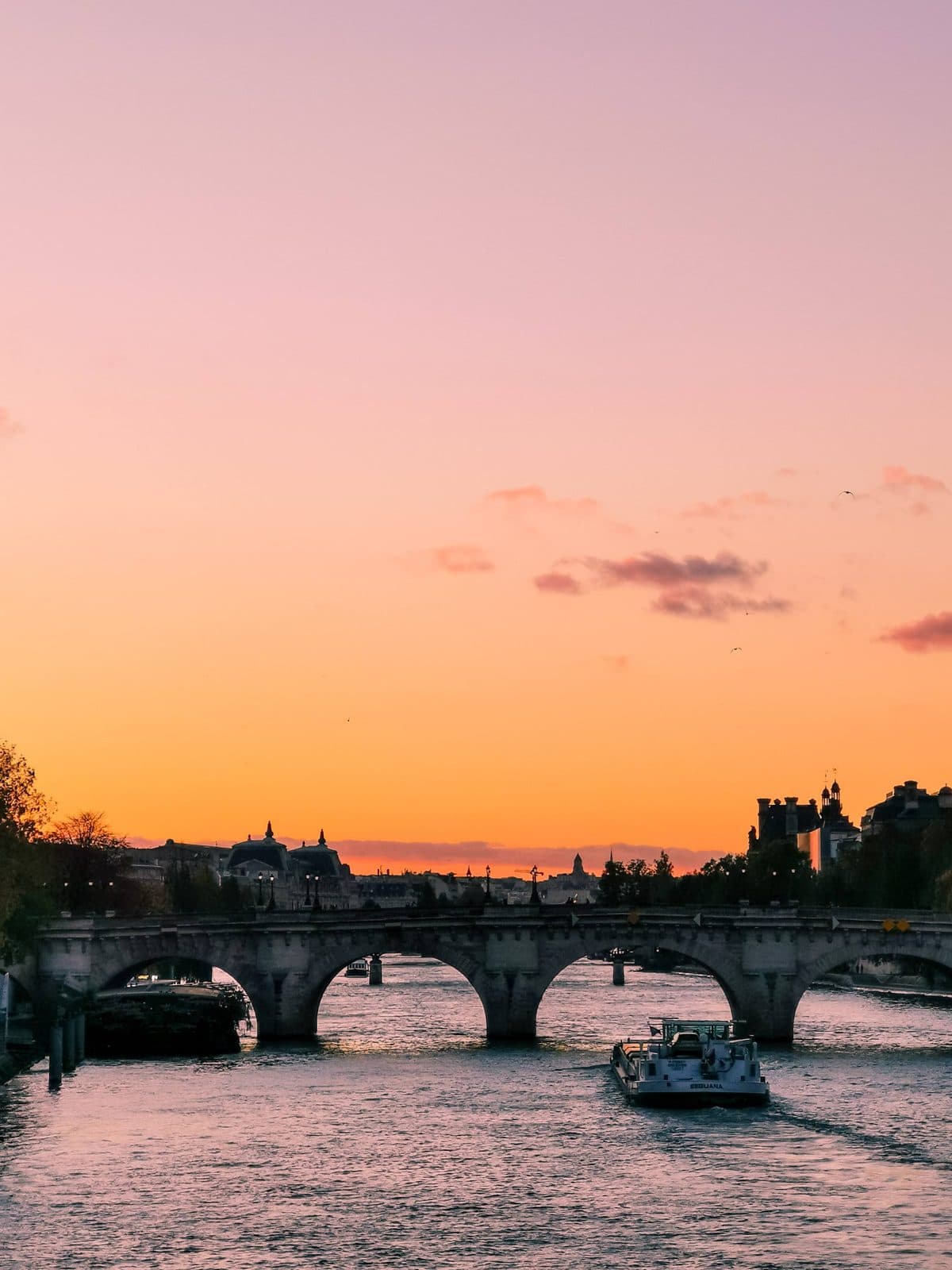 Pont Neuf in Autumn